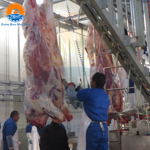 Équipement d'abattage de bétail halal haute capacité tout-en-un, ligne de traitement d'abattage de vaches, fournisseur chinois - Product Image 4
