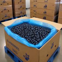 Premium Grade A IQF Diepvries Blauwe Bessen Groothandel 10kg/25kg Kartons voor Bakkerijen, Sappen, Smoothies, Natuurlijk IQF Diepvries Fruit