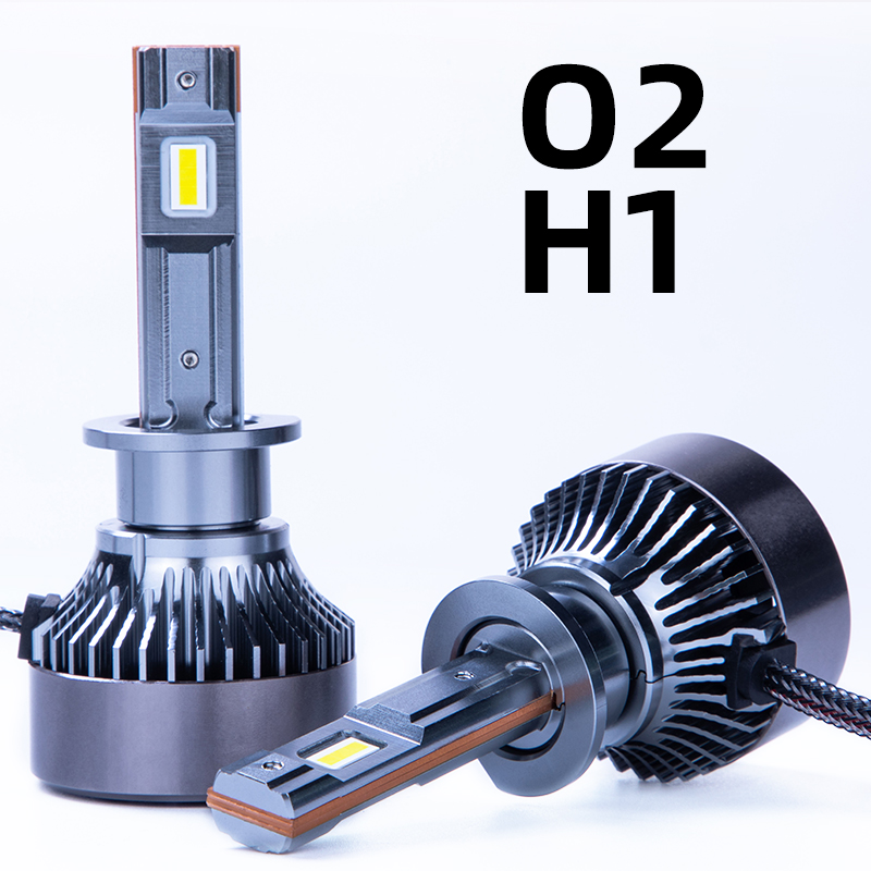 H1