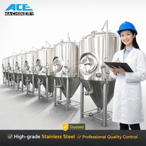 500L Fermentation Tanks Upright Vertical Pressure Isobaric Fermenters Brewery Equipment <b>Side</b> Manway Stainless Steel for Sale - Product Image 3