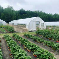 Fabriek produceert eenvoudige gebogen kassen voor groenten, fruit en bloemen, geschikt voor lente- en herfstteelt.