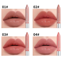 Nouveau multi-fonction 12 couleurs mat imperméable rouge à lèvres crayon longue durée rouge à lèvres stylo cosmétiques beauté maquillage