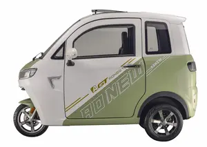 2024 Eec Fully Enclosed Mobility Scooter 3 Wheel Electric Car For Adults