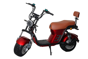 Scooter Eléctrico Personalizado OEM para Adultos, Batería de Plomo-Ácido de 48V, Neumático de Acero de 14 Pulgadas, Motor en el Buje Trasero, Autonomía Superior a 60 km - Product Image 3