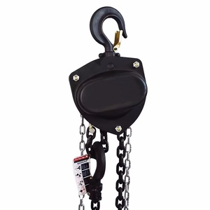 Vd loại hướng dẫn sử dụng Palăng tam giác nhỏ Palăng xích với chuỗi Thép G80 cho công cụ nâng 2 tấn 3 m và 3 tấn Công suất - Product Image 5