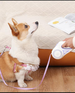 Bestes Hundezubehör: Leuchtende Ausziehbare Hundeleine mit LED-Licht, Trainingsleine für Hunde & Katzen - Lila 5M/16ft - Product Image 5