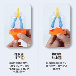 Matériaux pour modèle de respiration pulmonaire, système simulateur de mouvement du diaphragme, biologie pour collèges, sciences pour écoles primaires - Product Image 4