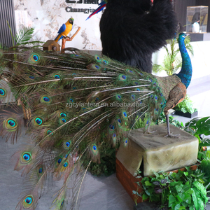 Fabrieksgemaakte op ware grootte animatronische pauw met verenbeweging voor dierentuinen, museum, avonturenpark, kinderdagverblijf, winkelcentrum en luchthaven - Product Image 6