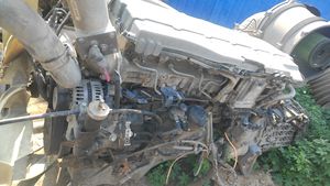 Les moteurs diesel d'homme ont utilisé l'ensemble de moteur des véhicules à moteur MC11.44 pour la puissance 324 kilowatts d'ensemble de moteur de l'homme - Product Image 2