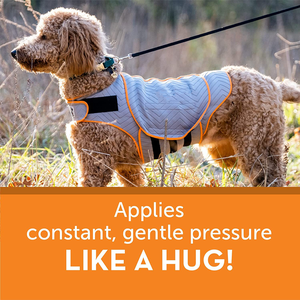 Rompi Pereda Kecemasan untuk Anjing dengan Cetak Logo Kustom Bahan Akrilik Berbagai Ukuran (XXS-XXL)-Rompi Anti-Kecemasan yang Nyaman - Product Image 4