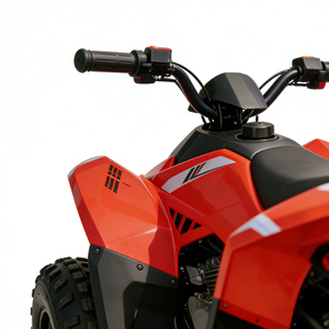 <span class=keywords><strong>Quad</strong></span> 120cc à essence 4 temps à transmission par chaîne, personnalisé, neuf, pas cher, pour enfants, pour l'extérieur - Product Image 3