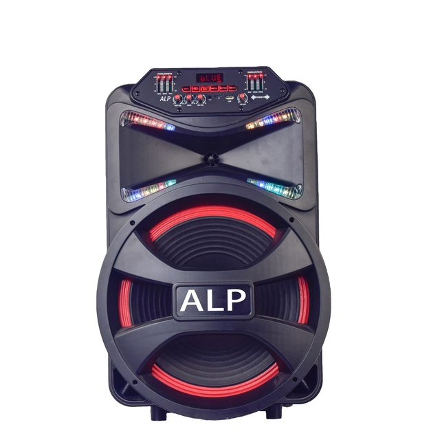 Custom Double 15 Inch Portable Trolley Speaker Sound Box Speaker with Led Light