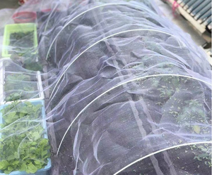 Bán buôn 20g/m2-180g/m2 chống côn trùng <span class=keywords><strong>Net</strong></span> cho nhà kính muỗi <span class=keywords><strong>Net</strong></span> vườn - Product Image 4