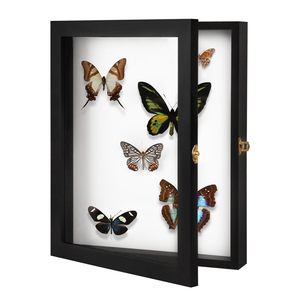 Boîte de présentation d'insectes en bois <span class=keywords><strong>noir</strong></span> avec porte en verre transparent, pour objets de collection - Product Image 4