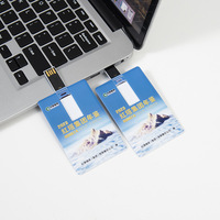 Kartu Promo Logo Kustom USKY 1GB 2GB 4GB 8GB 16GB 32GB 64GB 128GB Memory U Stick Pendrive Pen Drive Usb Flash Drive Kartu Kredit