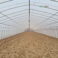 Serre agricole en film plastique à simple travée avec système hydroponique NFT à vendre