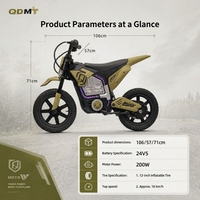 Moto électrique tout-terrain pour enfants, moteur sans balais 24V 200W, pneu tout-terrain gonflable de 12 pouces, jouet tout-terrain pour enfants à 16 km/h