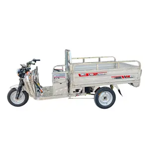 Triciclo adulto elétrico de carga agrícola com cabine, triciclo elétrico de carga agrícola de 1200 W