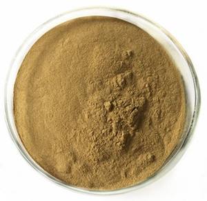 10%-30% 다당류 그리폴라 프론도사 미타케 버섯 추출물 분말 식품 등급 균사체/과일 바디 다크 브라운 분말 24 개월 - Product Image 3