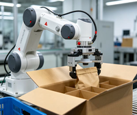 Machine d'emballage robotisée Cobot pour boîtes, sacs, bouteilles et cartons – Lignes d'emballage