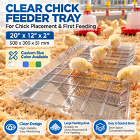 Plateau d'alimentation en plastique pour poussins de ferme avicole, pour la première alimentation des poussins de chair