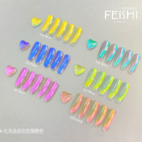 Poudre à ongles magnétique effet œil de chat, qualité cosmétique, paillettes brillantes, pigment de nail art premium, sûr et longue durée, vente en gros