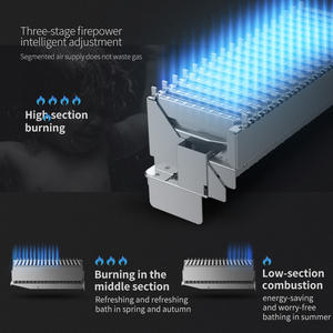 Wholesale 20L/24L High-Capacity Oxygen-Free Copper Tank Electric <strong>Gas</strong> Tankless LED App-Controlled Instant Smart Hot <strong>Water</strong> <strong>Heater</strong> - Product Image 4