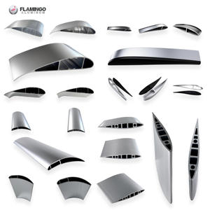 Flamingo <span class=keywords><strong>Foshan</strong></span> pisau <span class=keywords><strong>Aluminium</strong></span> 6063 T5 <span class=keywords><strong>Aluminium</strong></span> ekstrusi Airfoil turbin angin vertikal pisau profil industri <span class=keywords><strong>Aluminium</strong></span> - Product Image 2