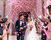 Canon à Confettis Écologique Rose en Forme de Pétale de 40 cm, Ouverture Rotative, Fournitures de Célébration de Mariage, Lanceur de Fête – Vente Directe Usine