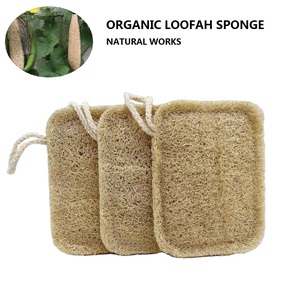 100% biodegradable Natural esponja depuradores <span class=keywords><strong>Lufa</strong></span> esponja <span class=keywords><strong>de</strong></span> limpieza <span class=keywords><strong>de</strong></span> la cocina esponja - Product Image 2