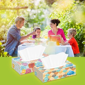 <span class=keywords><strong>Caja</strong></span> <span class=keywords><strong>de</strong></span> pañuelos faciales Biodegradable sin blanquear, papel <span class=keywords><strong>de</strong></span> seda para el cuidado facial - Product Image 4