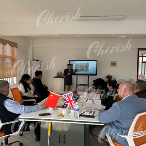 Sistema de Estacionamiento Hidráulico de 4 Postes de Acero de Alta Resistencia Cherish, Apilador de Vehículos Personalizado, Elevador Automático con Capacidad de 3700 kg, Certificado CE - Product Image 6