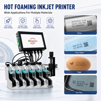 Máquina de Impresión Digital TIJ, Impresora Industrial de Inyección de Tinta Térmica para Codificación de Productos, Logotipos de Empaque y Soluciones de Fabricación