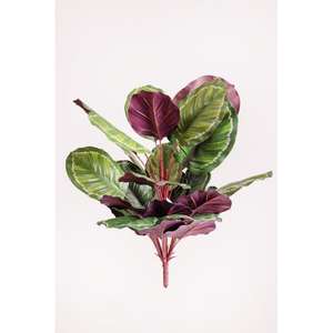 CALATEA RT X7 76CM GR - Product Image 1