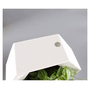 Macetas de Pared <span class=keywords><strong>para</strong></span> Plantas de Interior, Macetas Verticales DIY, Macetas Hexagonales Ligeras, Macetas Colgantes Decorativas <span class=keywords><strong>para</strong></span> Plantas - Product Image 4
