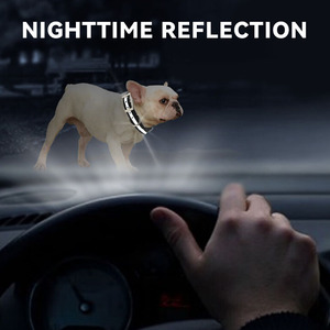 <span class=keywords><strong>Collar</strong></span> de perro reflectante Day-Glo con patrón sólido de nailon recubierto de TPU impermeable y decoración de remaches logotipo personalizado y varios colores - Product Image 6