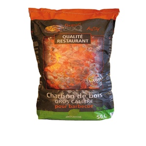 Nhà Sản Xuất Tùy Chỉnh In Ấn 2 Lớp 5Kg 10Kg Kraft Giấy Than Túi - Product Image 2