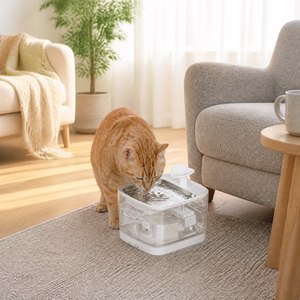 Fontaine à eau pour animaux domestiques, 3,2 L, automatique, intelligente, sans fil, alimentée par batterie, plateau en acier inoxydable, pour chat, chien, plusieurs animaux, intérieur, maison - Product Image 1