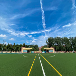 <span class=keywords><strong>Alfombra</strong></span> de fútbol natural de la mejor calidad, <span class=keywords><strong>semillas</strong></span> de césped para fútbol, cancha deportiva, césped sintético artificial - Product Image 6