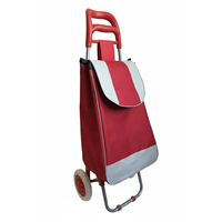 Chariot de courses pliable d'extérieur personnalisé, mini, de haute qualité, pour légumes et aliments, avec poignée en tube d'acier - Offre spéciale