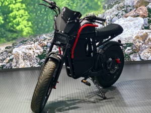 Scooter/vélo électrique léger au lithium 48V, pneus larges, moteur 500W, vitesse maximale 50 km/h, autonomie 45-55 km/h, X11 - Product Image 1