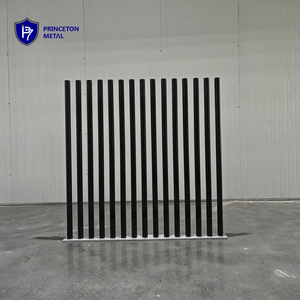 Clôture en aluminium stable et résistante au vent pour la protection du périmètre des maisons de banlieue en métal de Princeton - Product Image 1