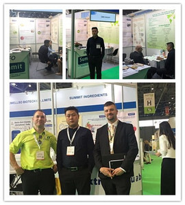 Nhà máy cung cấp mẫu miễn phí citrus paradisi bột Bưởi chiết xuất cho uống - Product Image 2