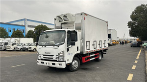 รถบรรทุกขนส่งไก่สำหรับเด็กทารก Isuzu 4.2ม. รถบรรทุกขนส่งไก่แบบ Live Day-Old - Product Image 6