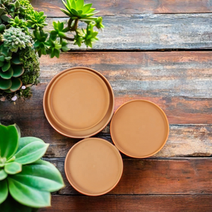 Pot de plantes succulentes en terre cuite de style moderne avec soucoupe <span class=keywords><strong>poterie</strong></span> en céramique de petite taille pour la décoration des jardins intérieurs - Product Image 6