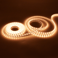 Bande lumineuse LED flexible haute tension AC230V 60 LED/m 10W/m 50M Blanc chaud ou froid 3000K 2700K Décorative pour éclairage extérieur