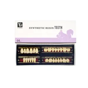 Dentale falsi denti acrilici composito sintetico per restauro dentale