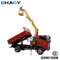 Grue de chantier articulée télécommandée HAOY 3,2 tonnes pour l'entretien des lampadaires