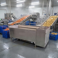 HXJ Automatische Motor Aardappel Wortel Gember Schil- en Wasmachine met Rolborstel