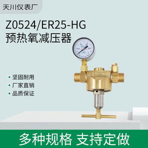 ตัวปรับแรงดันออกซิเจนเซี่ยงไฮ้ เทียนชวน รุ่น Z0524 ER25 HG วาล์วปรับแรงดันแก๊สแบบขั้นตอนเดียว ทำจากทองเหลือง - Product Image 5
